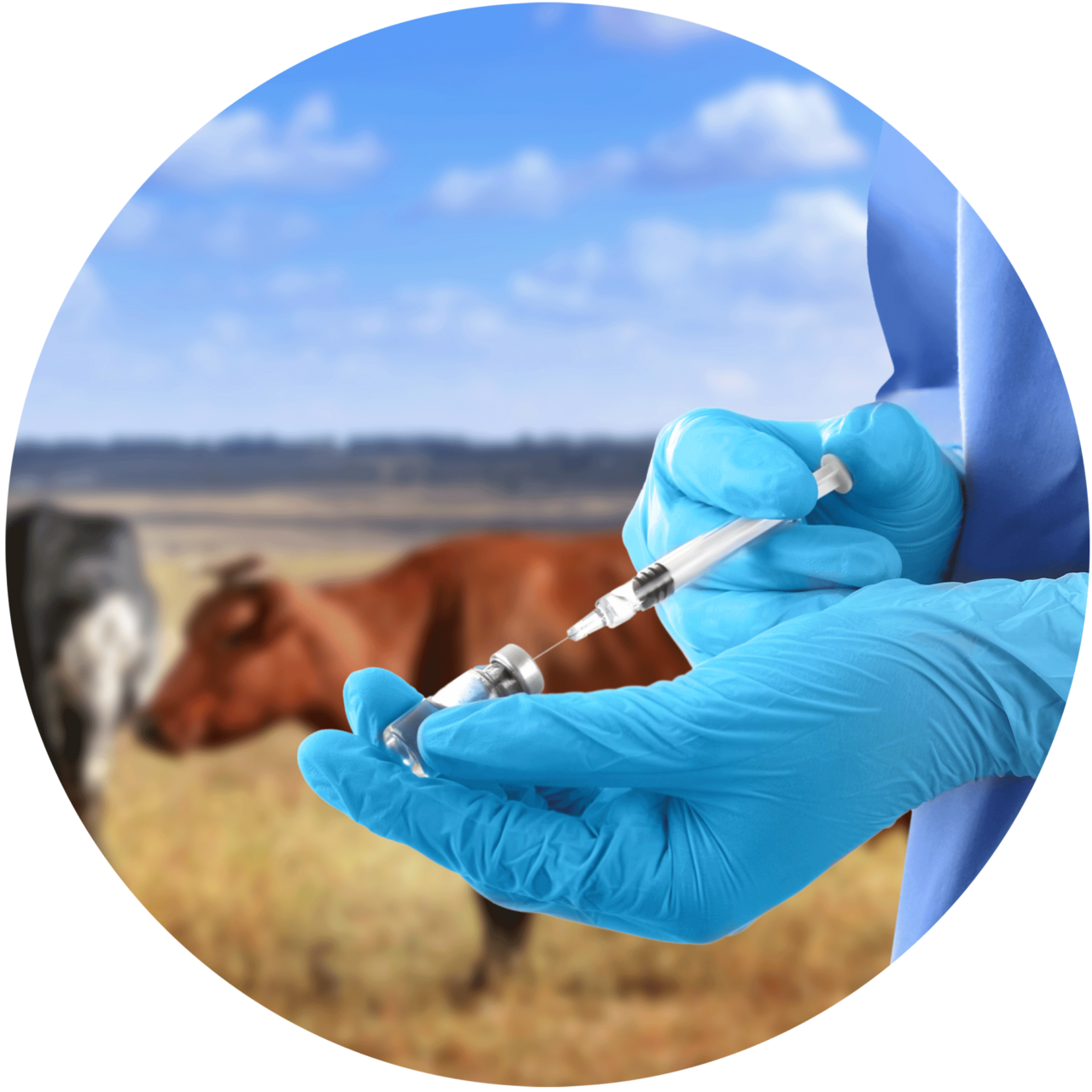 Veterinary Biologicals - IABS